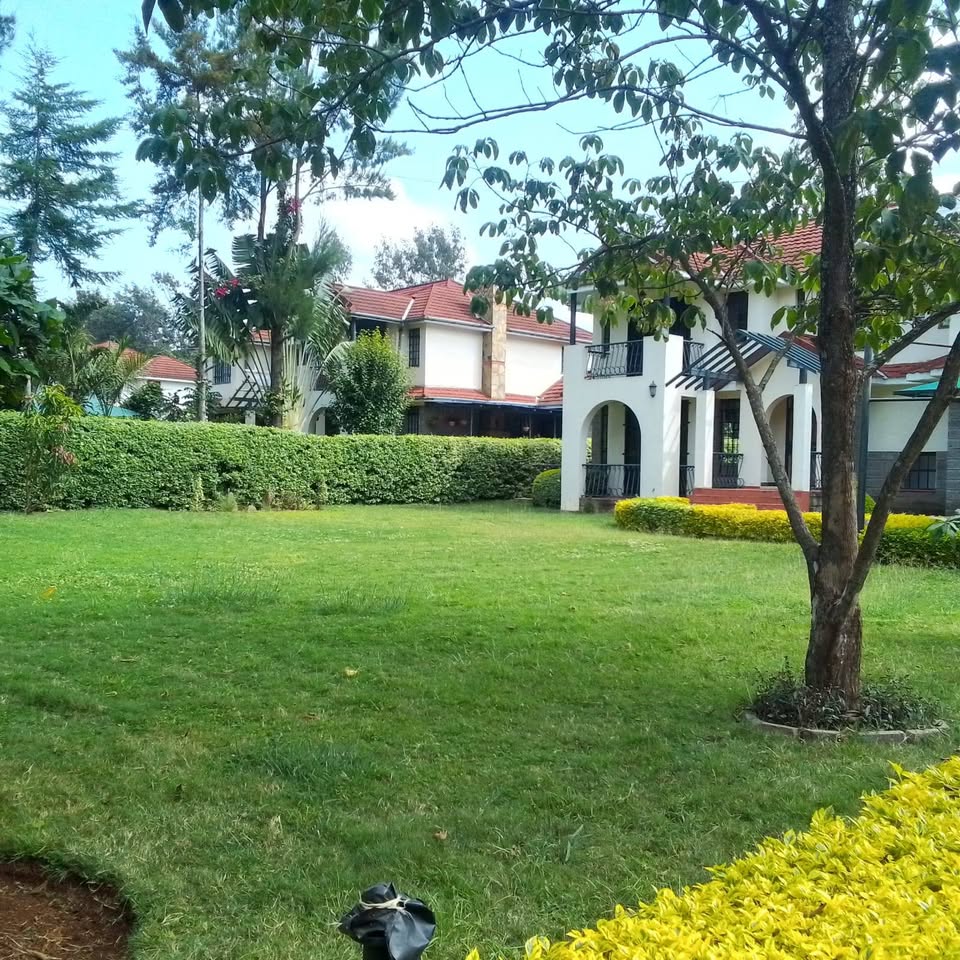 515441394_31210199738570778_7653201229557743727_n