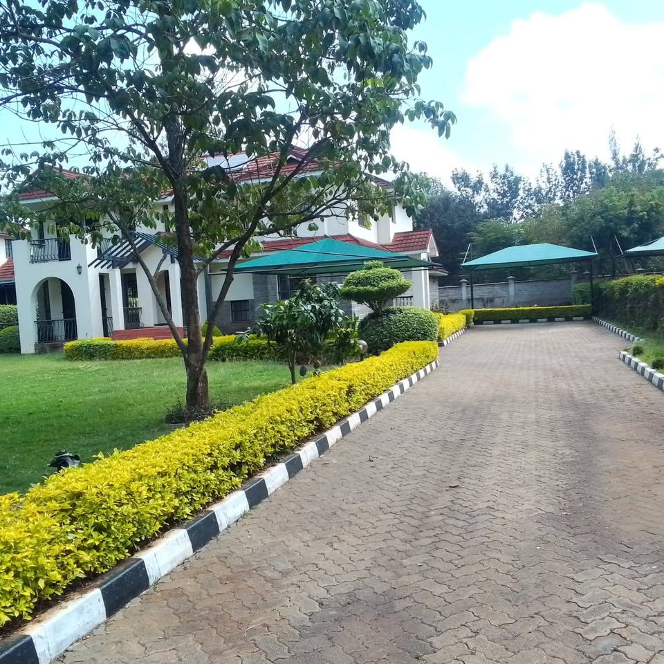 515494101_31210201595237259_7807170295576820986_n