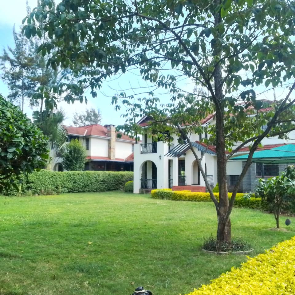 515505765_31210202478570504_1267571348060727918_n