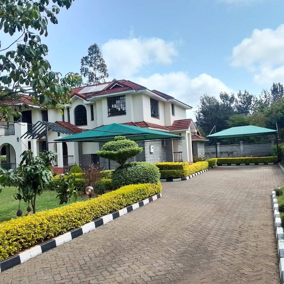 526556534_31632831169640964_7953330644903634170_n